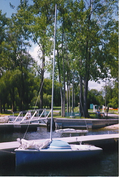 bandit17