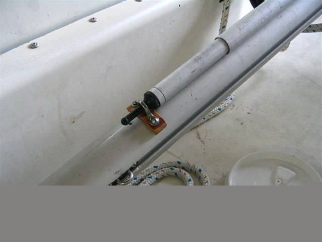 whisker_end (Medium)